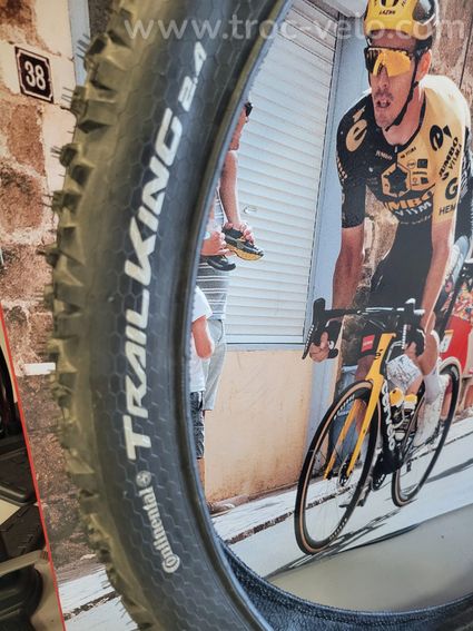 Paire de pneus de VTT Continental Trail King 29 x 2.40 - 2