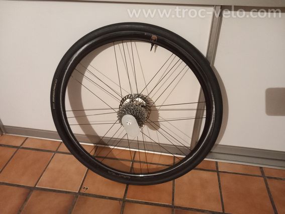 Campagnolo bora ultra wto 33 - 3