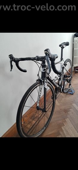 Vélo de course cipollini - 2