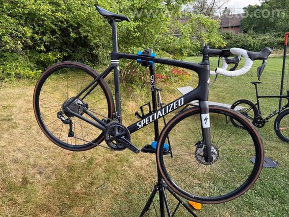 Specilized Roubaix Expert 2021