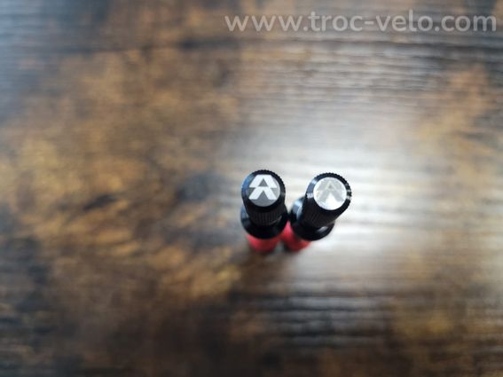 Valves Tubeless Reserve "Fillmore" 70mm - 3
