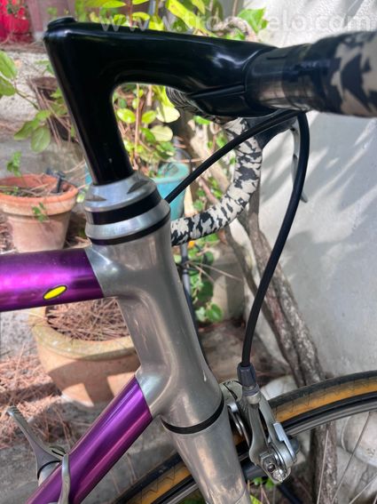 VITUS 992 Ovoid - 4