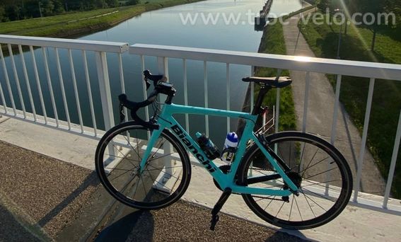 Bianchi Aria taille 55