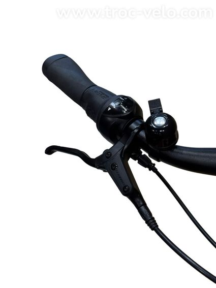 Winora Tria N8 eco Vélo électrique Shimano Nexus 2023 - 5