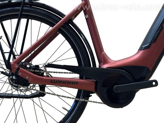 Winora Tria N8 eco Vélo électrique Shimano Nexus 2023 - 13