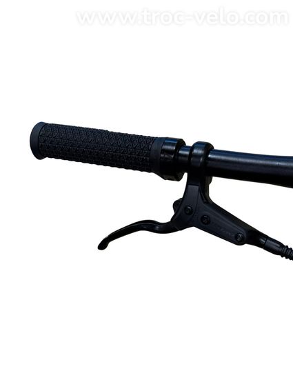 Tenways CGO600 Vélo électrique Single-Speed 2022 - 5