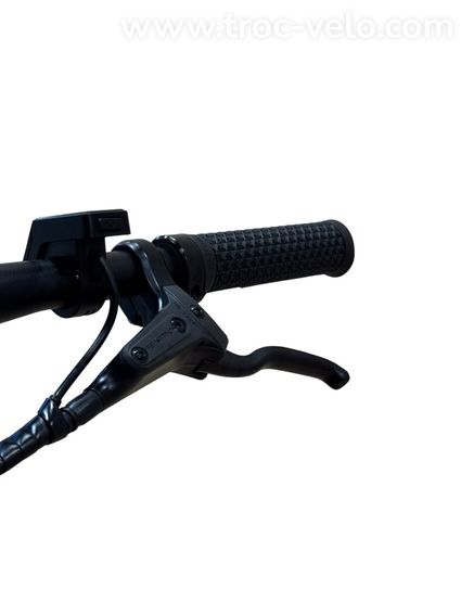 Tenways CGO600 Vélo électrique Single-Speed 2022 - 6