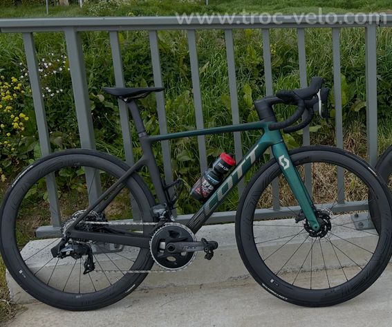 Roval CL50