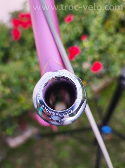 Cadre MERCIER rose, écusson gravé MERCIER, raccords liserés dorés - 4