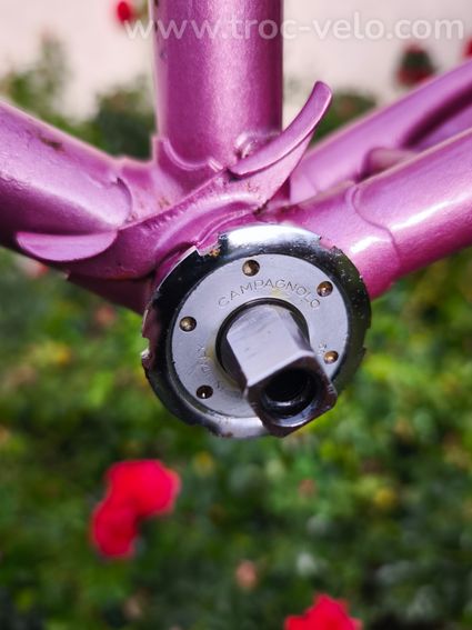 Cadre MERCIER rose, écusson gravé MERCIER, raccords liserés dorés - 5