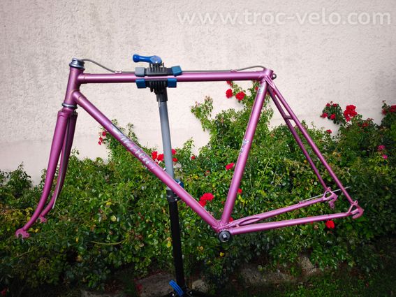 Cadre MERCIER rose, écusson gravé MERCIER, raccords liserés dorés - 7