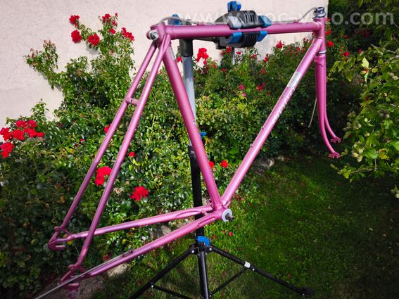 Cadre MERCIER rose, écusson gravé MERCIER, raccords liserés dorés - 8