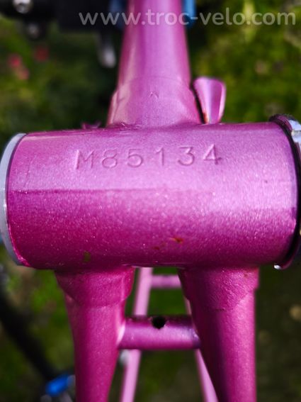 Cadre MERCIER rose, écusson gravé MERCIER, raccords liserés dorés - 10