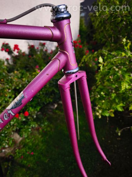 Cadre MERCIER rose, écusson gravé MERCIER, raccords liserés dorés - 11