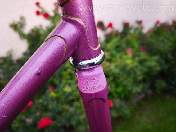 Cadre MERCIER rose, écusson gravé MERCIER, raccords liserés dorés - 14