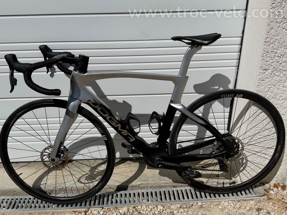 Dogma F Red AXS Plutonium Flash 2022 - 2