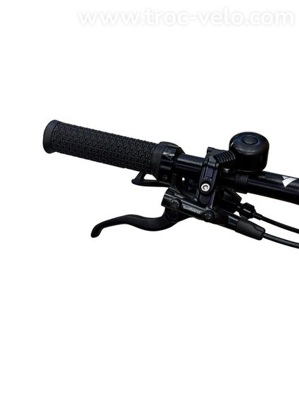 Bulls E-Stream EVO 1 29 pouces VTT électrique Shimano Deore 2023  - 4