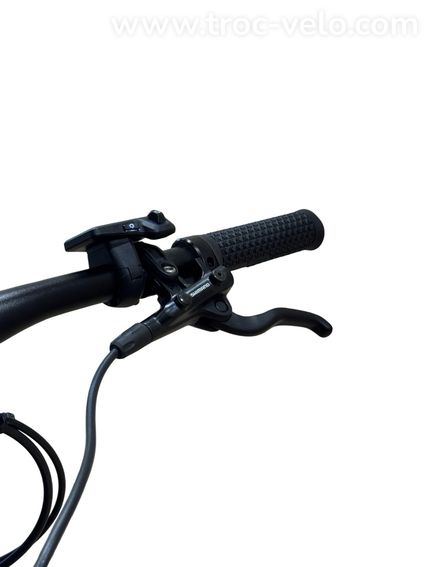 Bulls E-Stream EVO 1 29 pouces VTT électrique Shimano Deore 2023  - 5