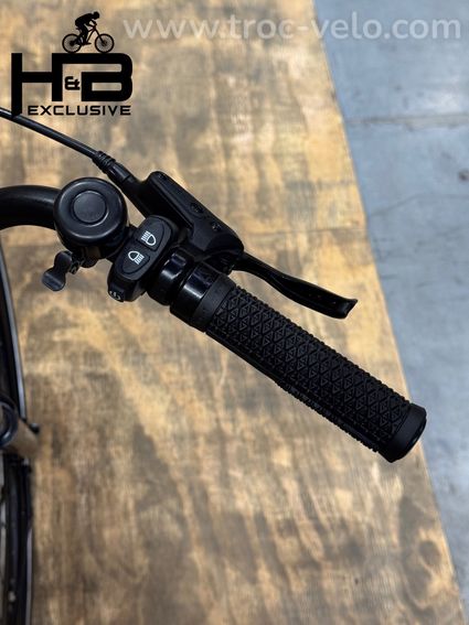 Tenways CGO800S Vélo électrique Single-Speed 2022 - 8