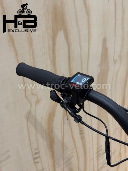 Rotwild R.T750 Tour Carbon 29 pouces VTT électrique Shimano XT 2023 - 7
