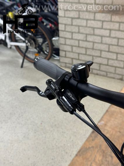 Flyer Upstreet5 3.12 Vélo électrique Shimano Alivio 2022 - 5