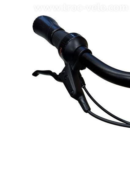 Gazelle Arroyo C5 Elite Belt Vélo électrique Shimano Nexus 2025  - 5