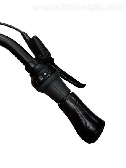 Gazelle Arroyo C5 Elite Belt Vélo électrique Shimano Nexus 2025  - 9