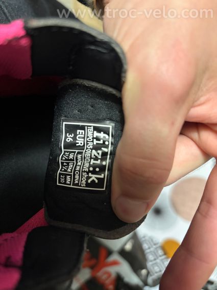 Chaussure fizik Tempo R5  - 3