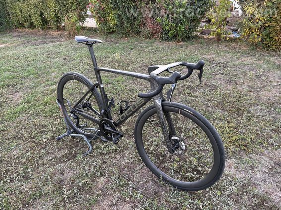 Focus izalco max 9.7 2026 - 2