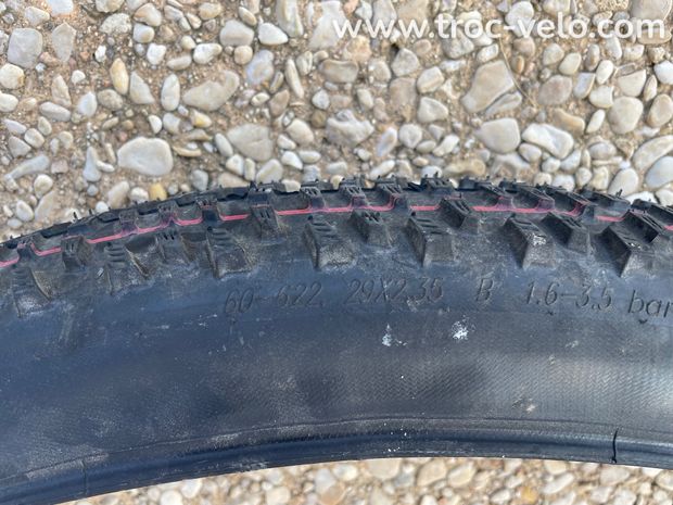 Schwalbe Racing Ralph 29x2,35 - 2