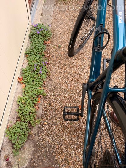 TREK FX SPORT CARBON 4 - 5