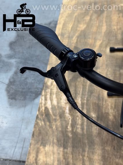 Tenways CGO800s Vélo électrique Single Speed 2022 - 6