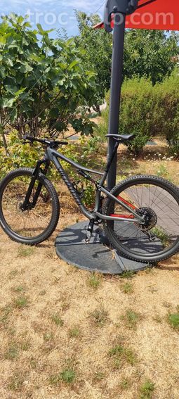 Vends, specialized epic expert carbone  - 7