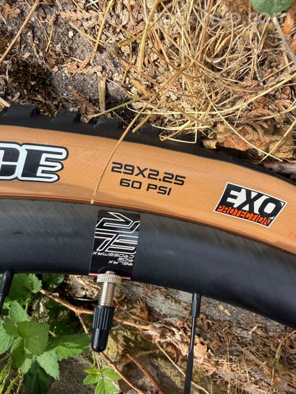 VTT KTM myroon prime  - 8