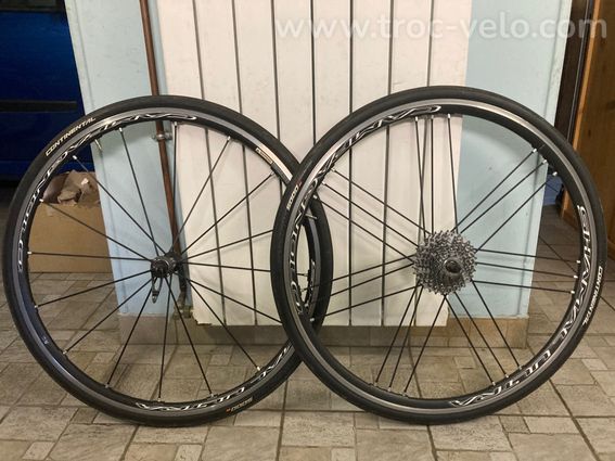 Paire de roue Campagnolo Shamal Ultra
