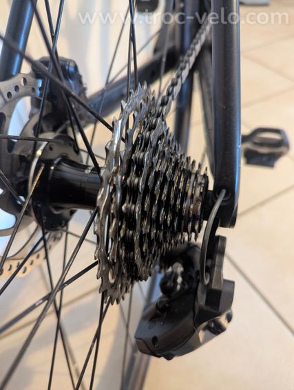 Giant TCR CCC - 4