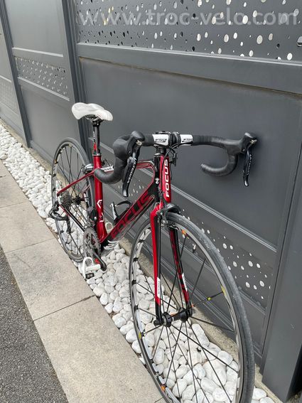 Focus izalco dona - 2