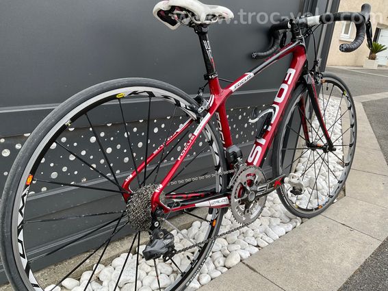 Focus izalco dona - 3