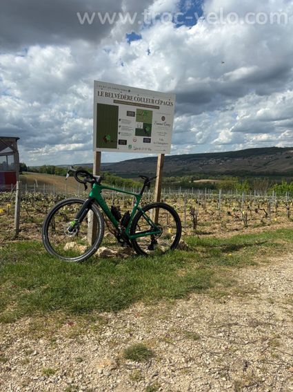 Wilier Rave ID2 T.L Green Sram Rival XPL-R - 2