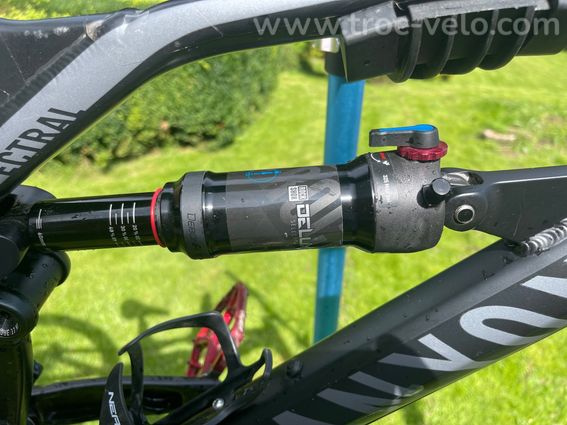 Canyon Spectral 5 L 2021 - 10