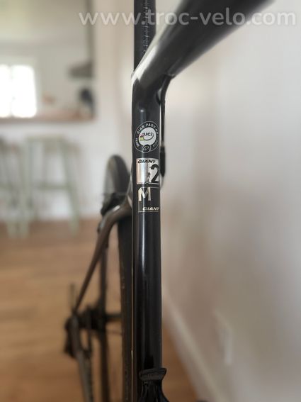 Giant Propel Advanced 2 - 4