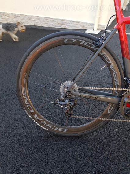 Vend colnago c64 - 4