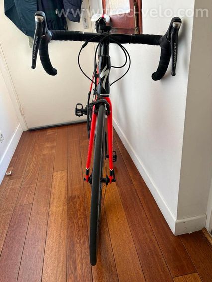 Specialized Tarmac Expert t. 56 - 4