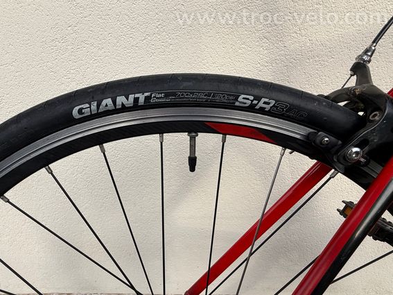 Giant Contend 3 - 6