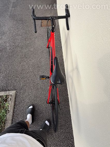 Giant Contend 3 - 8
