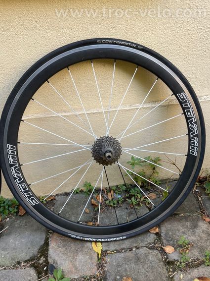 Roues carbone Stevan 11 patins - 6