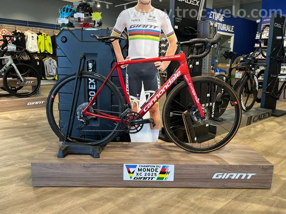 CANNONDALE Synapse - Dura-Ace 11v