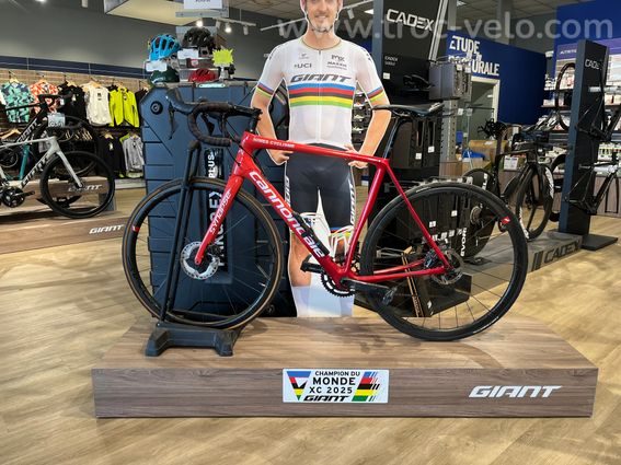 CANNONDALE Synapse - Dura-Ace 11v - 9
