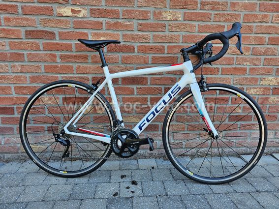 FOCUS IZALCO Race 2019 54