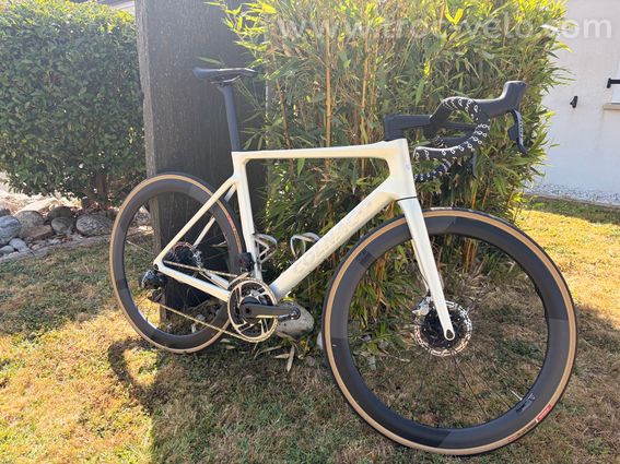 Colnago V4Rs